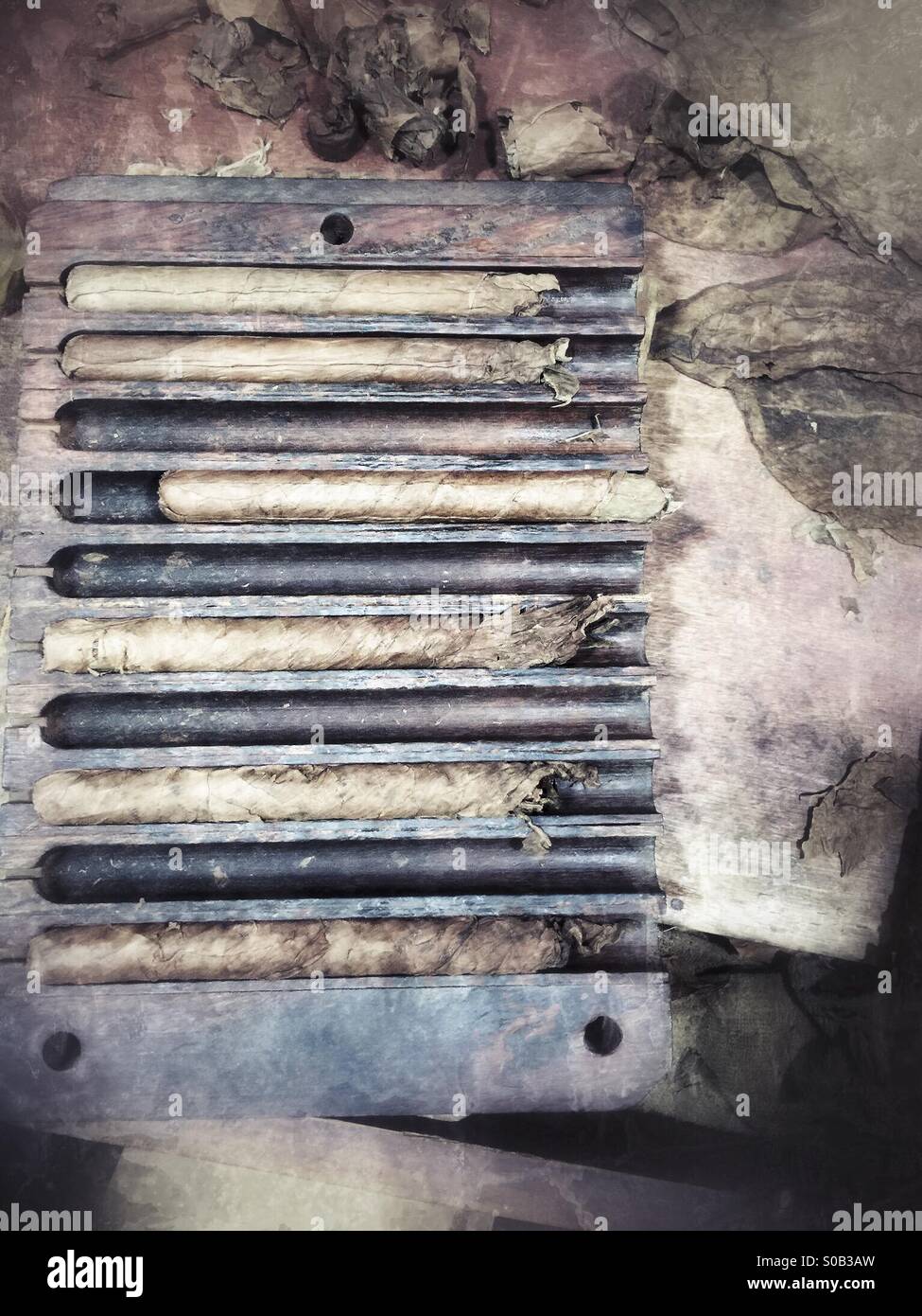 Rolling Cigars in the Dominican Republic - Smartphone Captured Stock Image