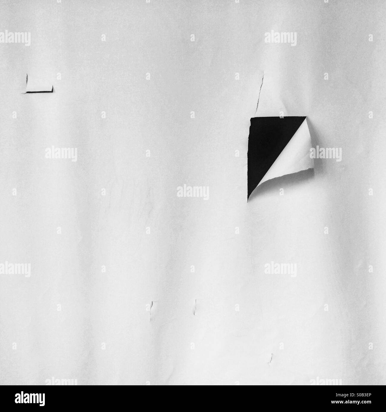 Canvas Black and White Stock Photos & Images - Alamy