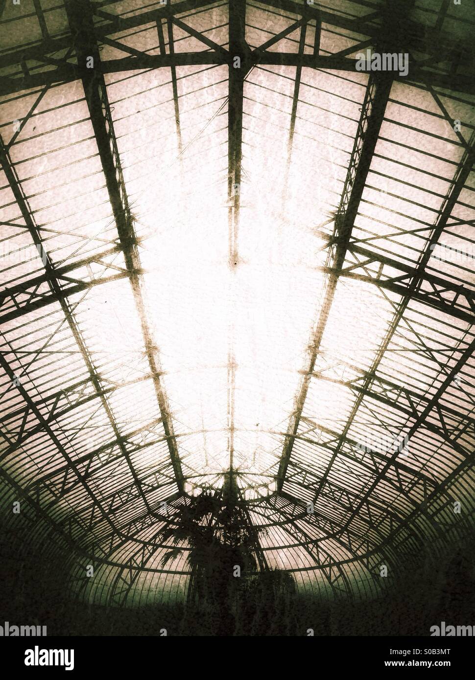 Ornate glass ceiling in Victorian glasshouse. - Smartphone Captured Stock Image