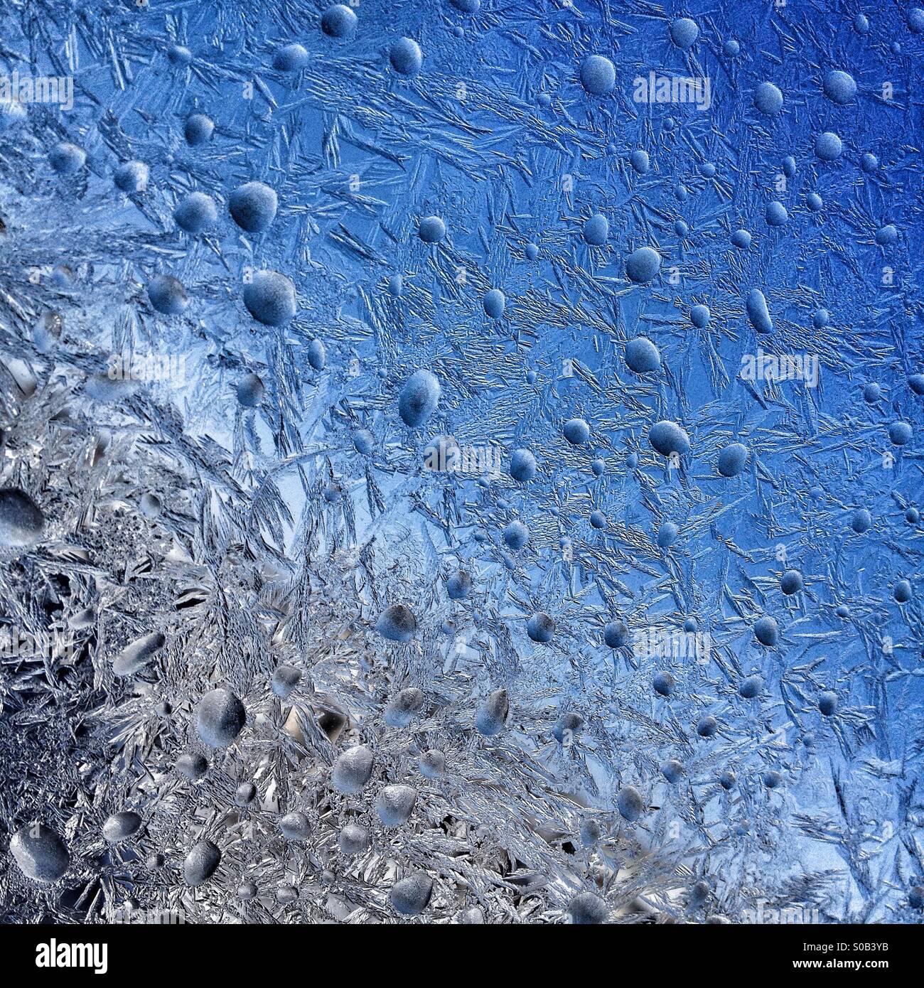 Frost - Smartphone Captured Stock Image