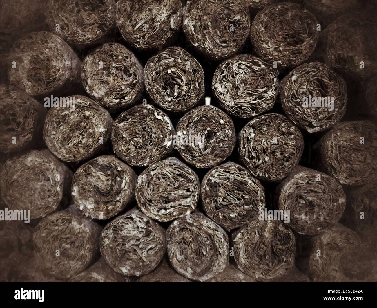 Freshly Rolled Cigars - Smartphone Captured Stock Image