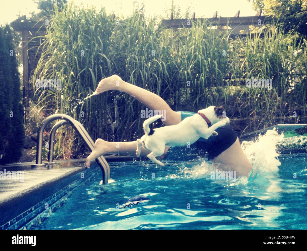 Dog and her human diving into the swimming pool. - Smartphone Captured Stock Image