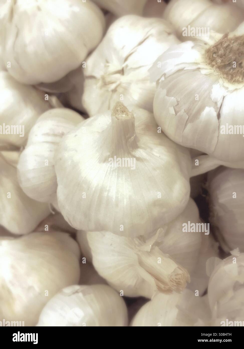 Garlic - Smartphone Captured Stock Image