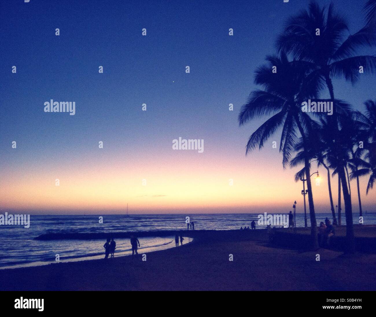 Hawaiian sunset with palm trees Stock Photo - Alamy