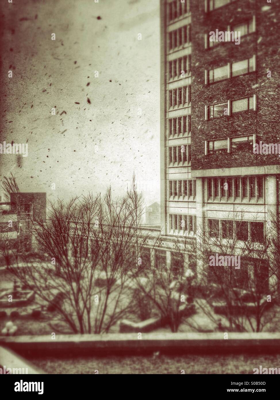 Snowfall on a courtyard (hdr,tilt shift, sepia). - Smartphone Captured Stock Image