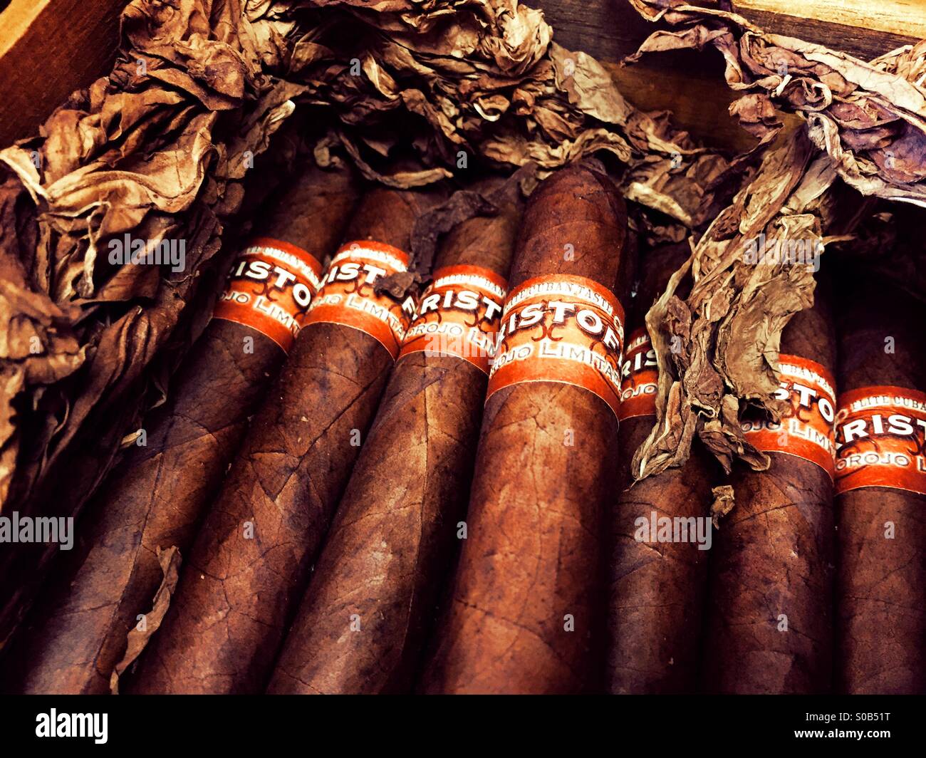 Box of cigars Stock Photo Alamy