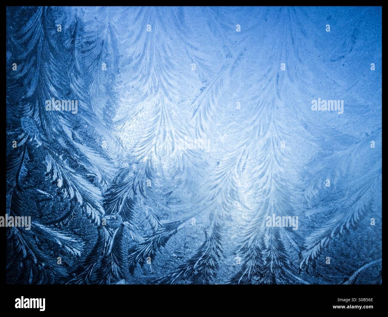 Winters morning ice blue background Stock Photo