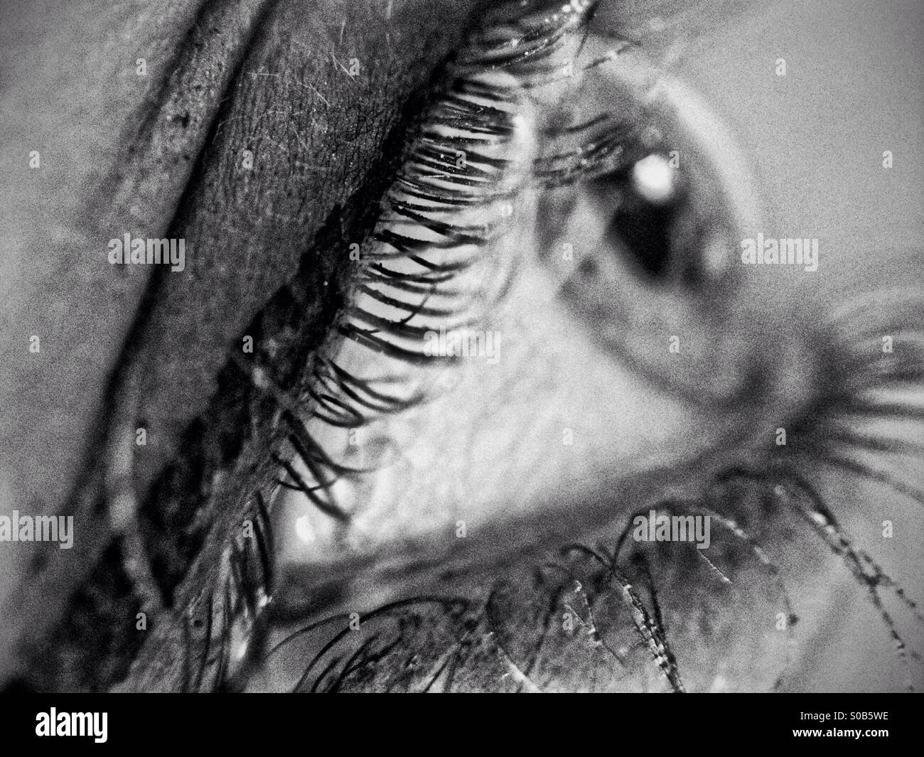 Close up of a woman's eye - Smartphone Captured Stock Image