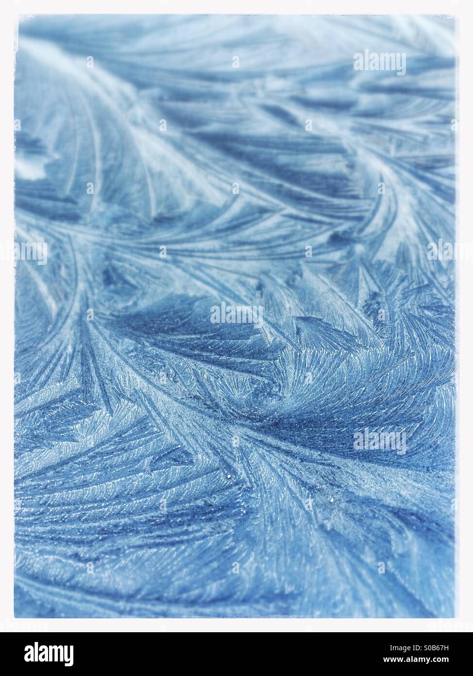 Beautiful patterns formed by frost and ice Stock Photo - Alamy