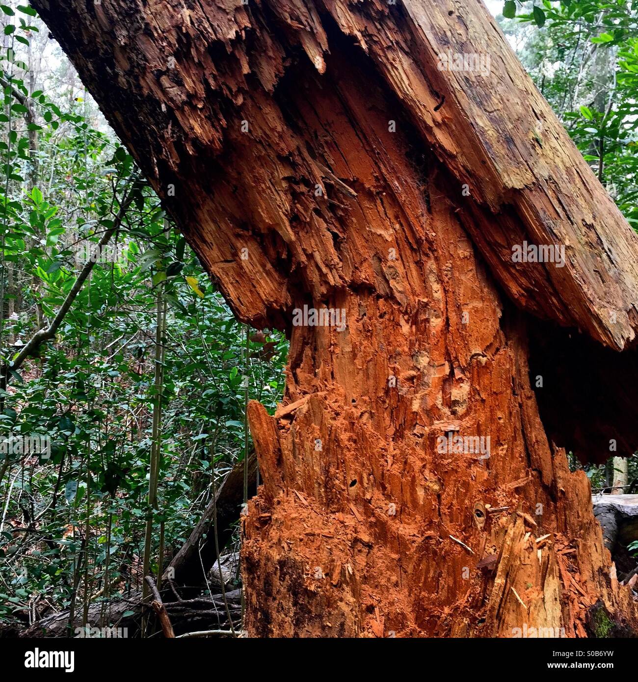 On the verge - Smartphone Captured Stock Image