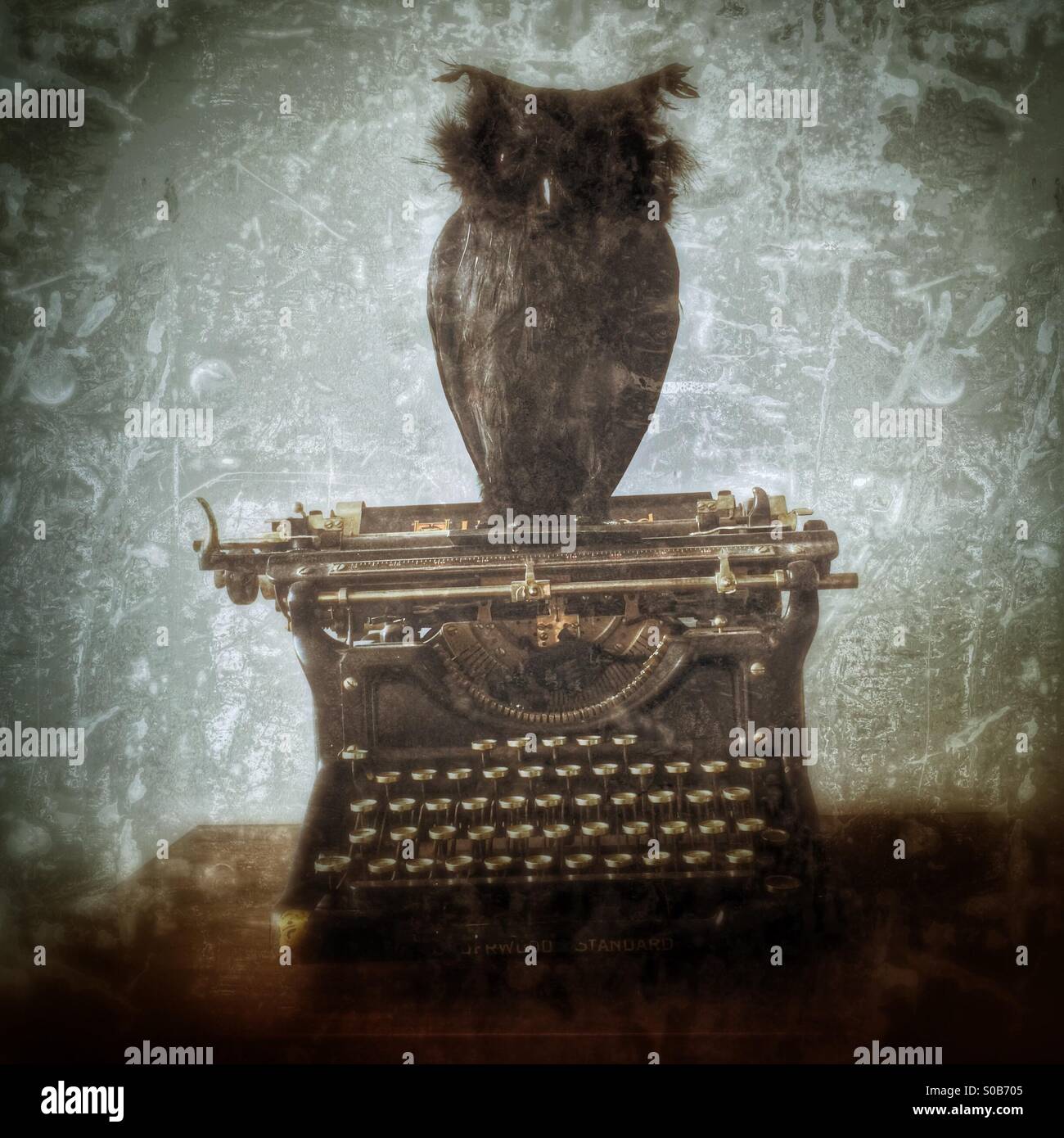 Owl sitting on antique typewriter - Smartphone Captured Stock Image