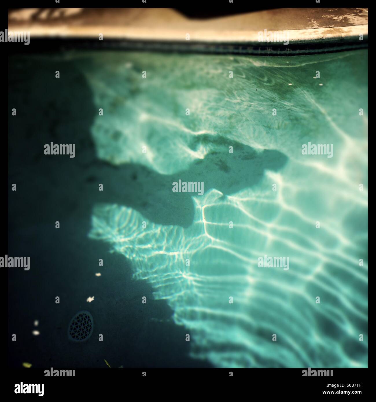 A shadow on the bottom of a swimming pool of a person diving off of a diving board. - Smartphone Captured Stock Image