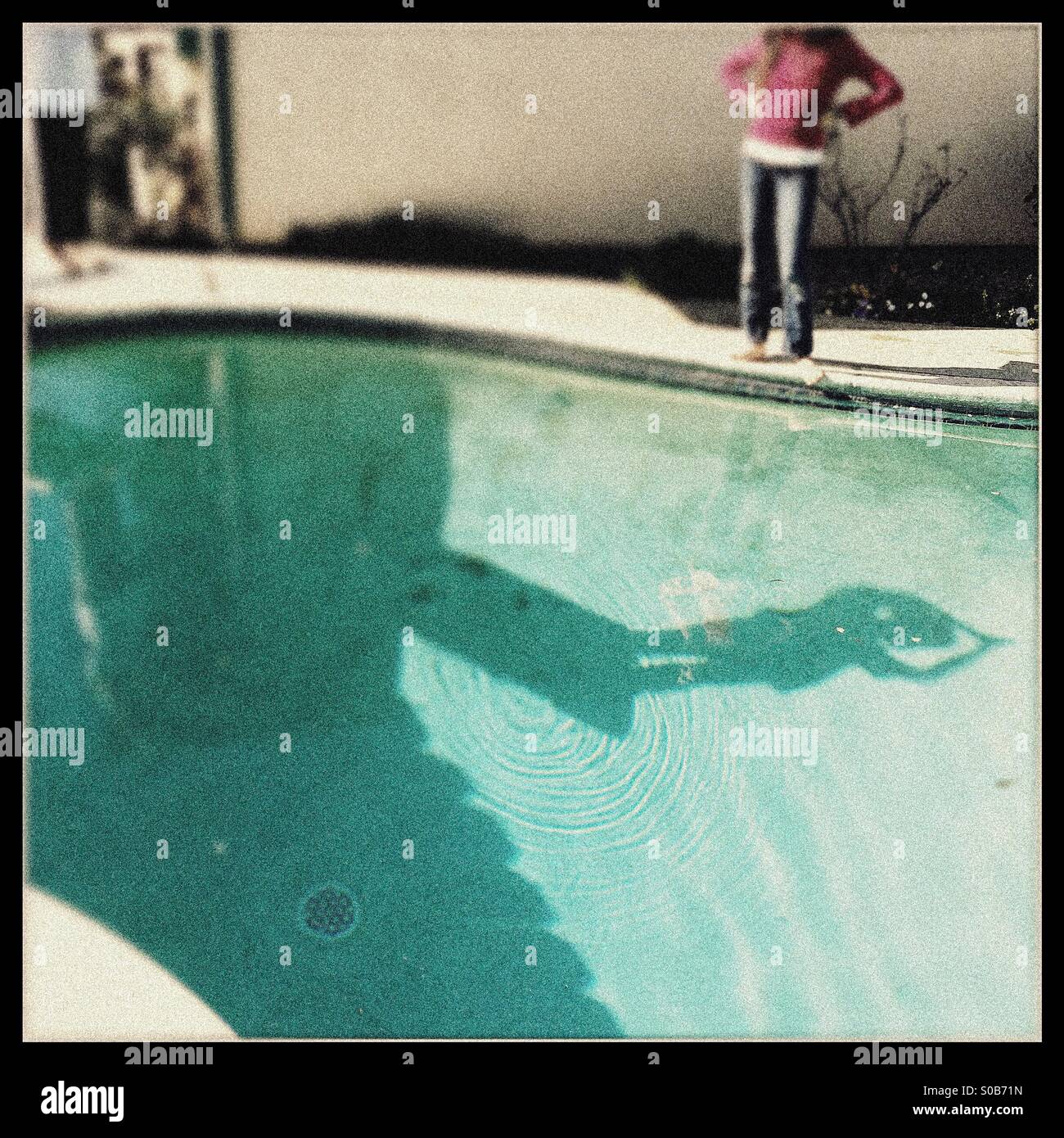 A shadow on the bottom of a swimming pool of a person diving off of a diving board. - Smartphone Captured Stock Image