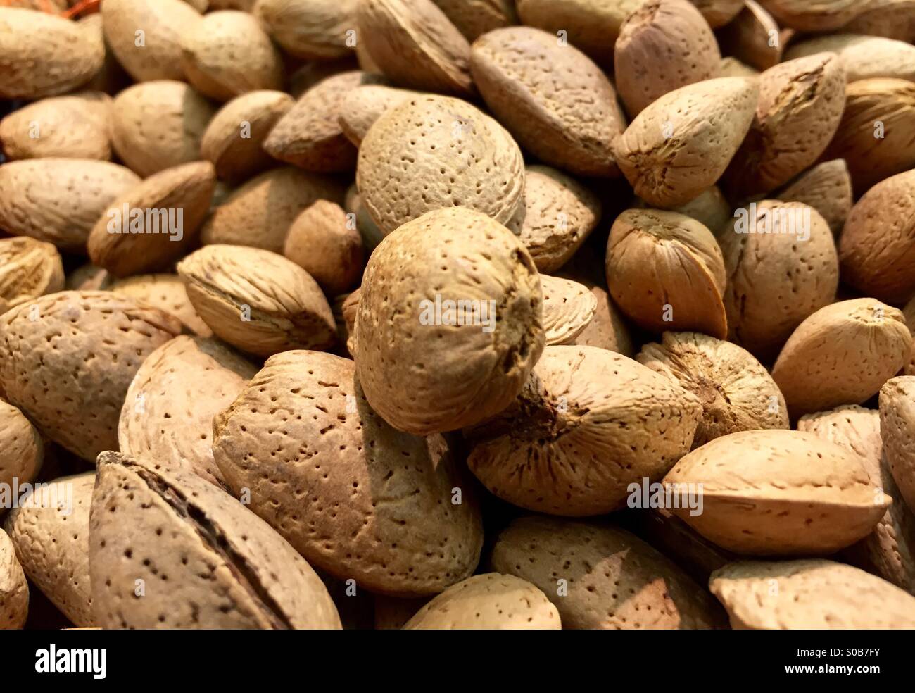 Almonds in shell Stock Photo Alamy