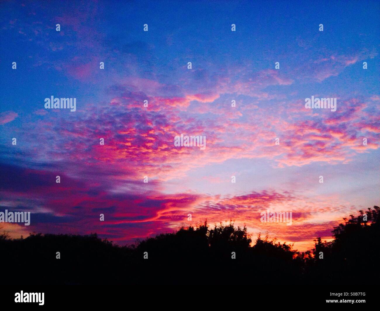 Beautiful sunset on fluffy clouds Stock Photo