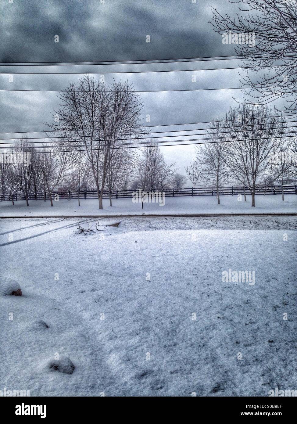 Snowy front yard (1 Stock Photo Alamy