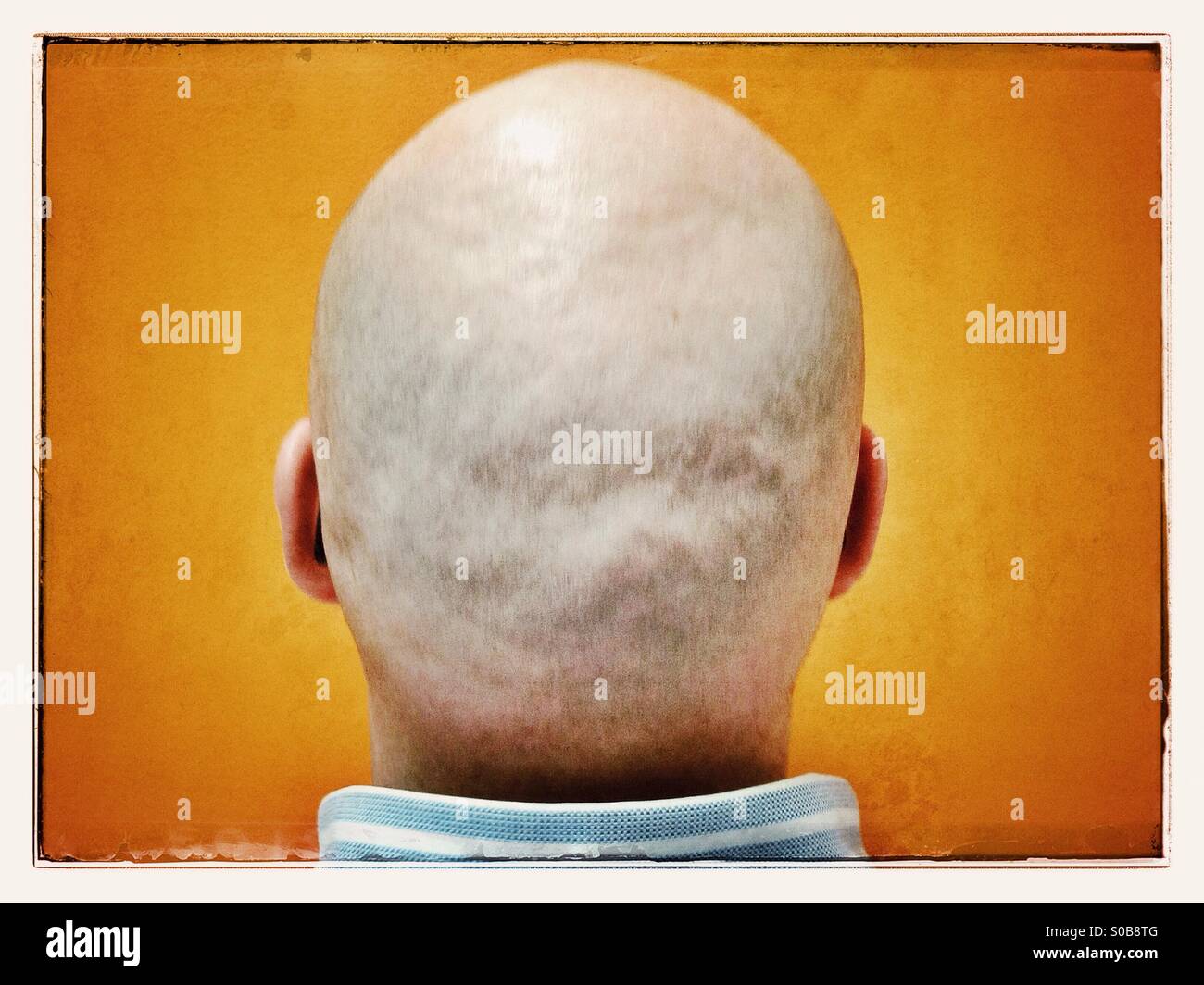 Shaved back of head with shirt collar Stock Photo