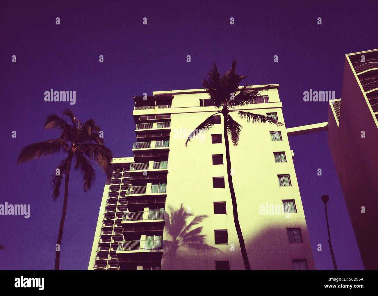 Palm trees cast shadows on a side of a building in Honolulu Hawaii - Smartphone Captured Stock Image