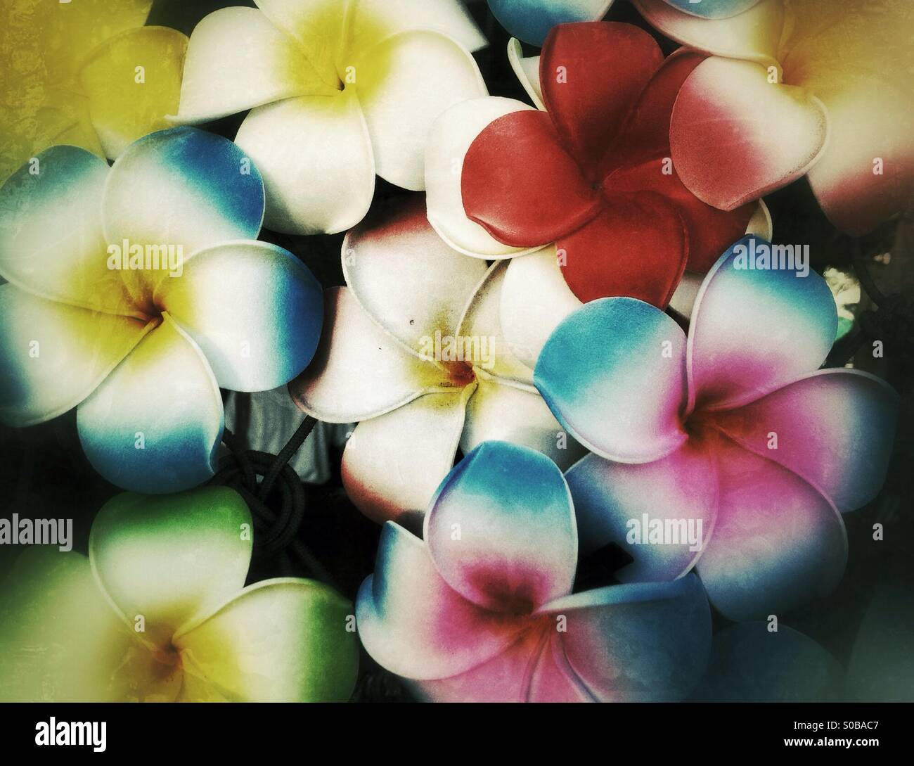 Artificial plumeria flowers on display at the market in Hawaii Stock