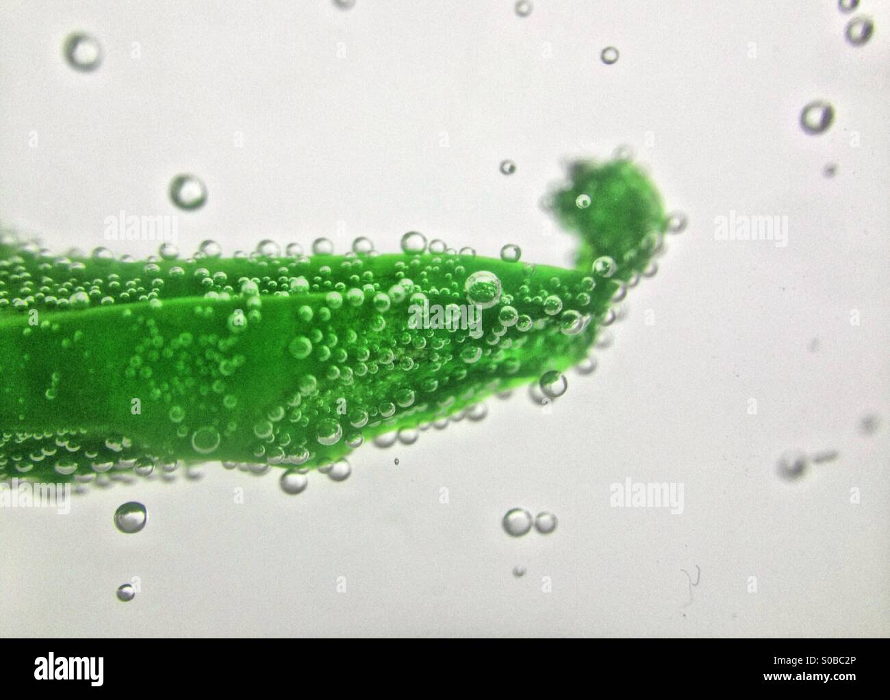 Colour change on chilli pepper in water Stock Photo - Alamy