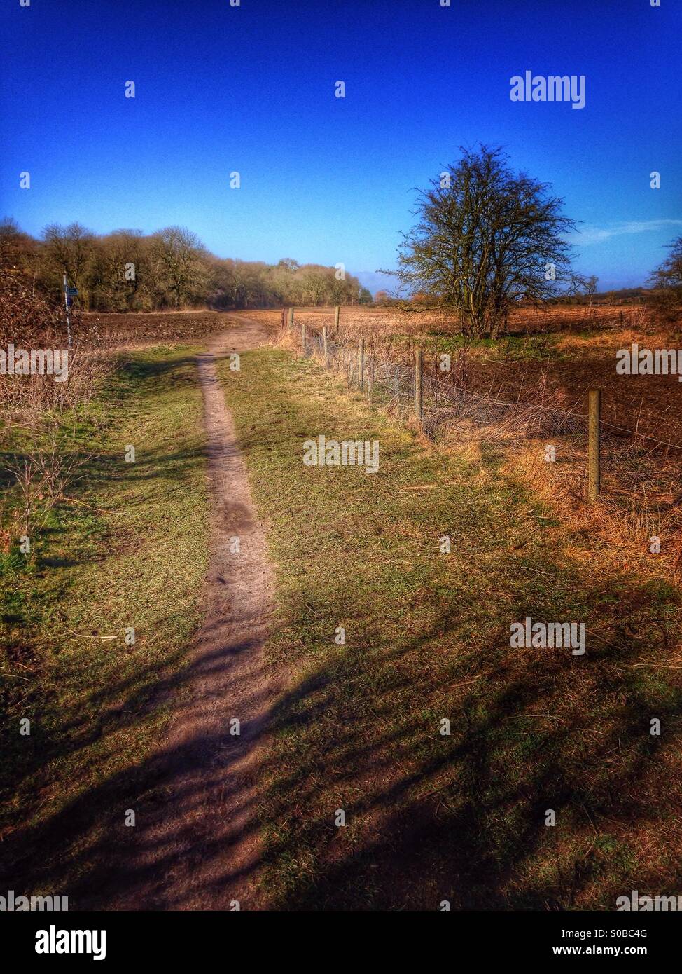 Public footpath across farmland. Ancaster, Lincolnshire, England. - Smartphone Captured Stock Image