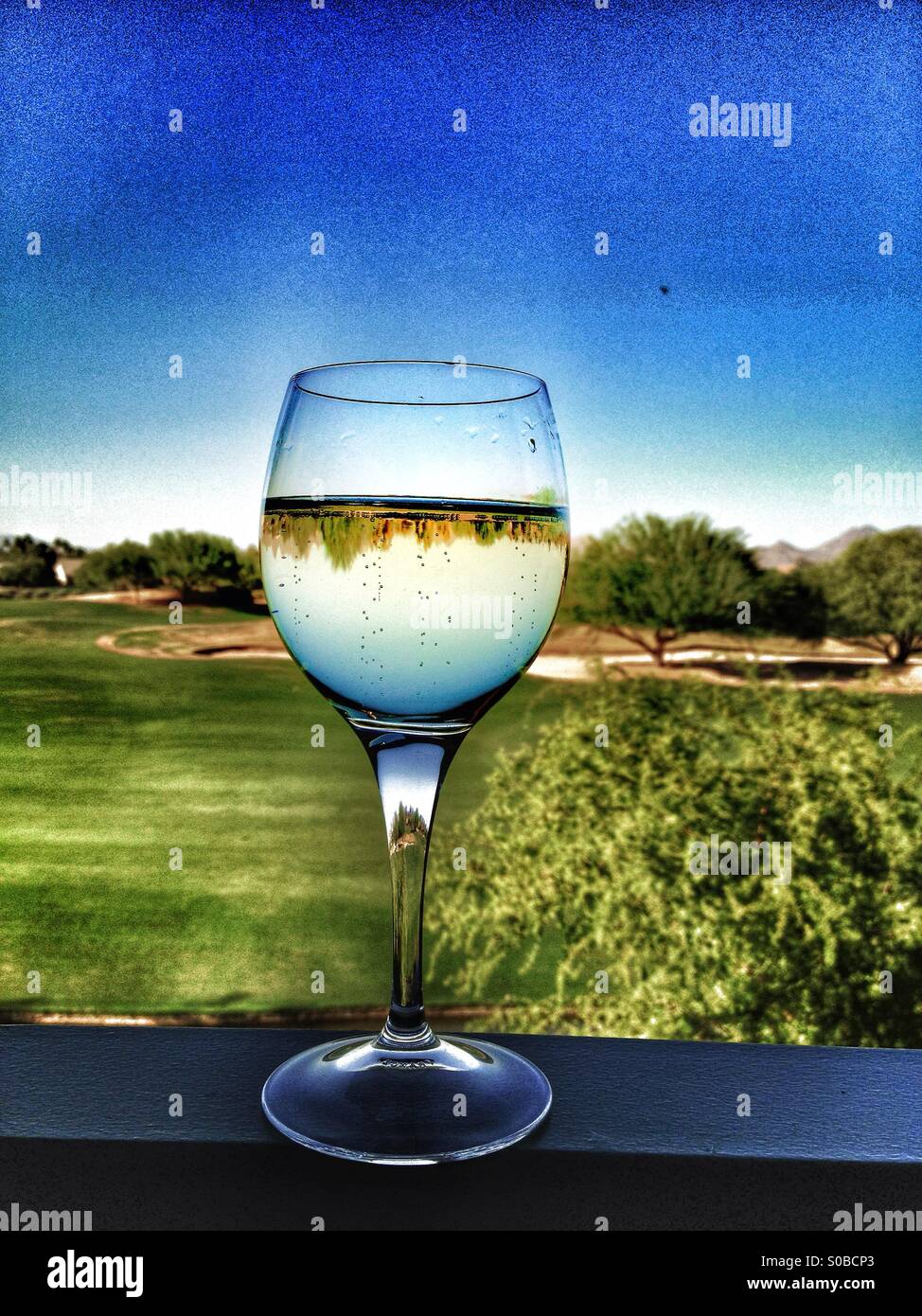 Golf course reflecting through Champagne glass Stock Photo Alamy