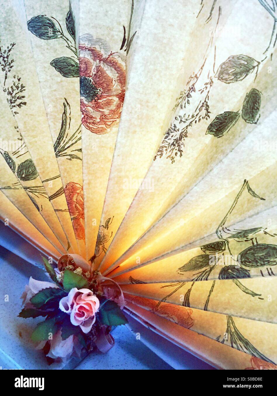 Vintage Fan - Smartphone Captured Stock Image
