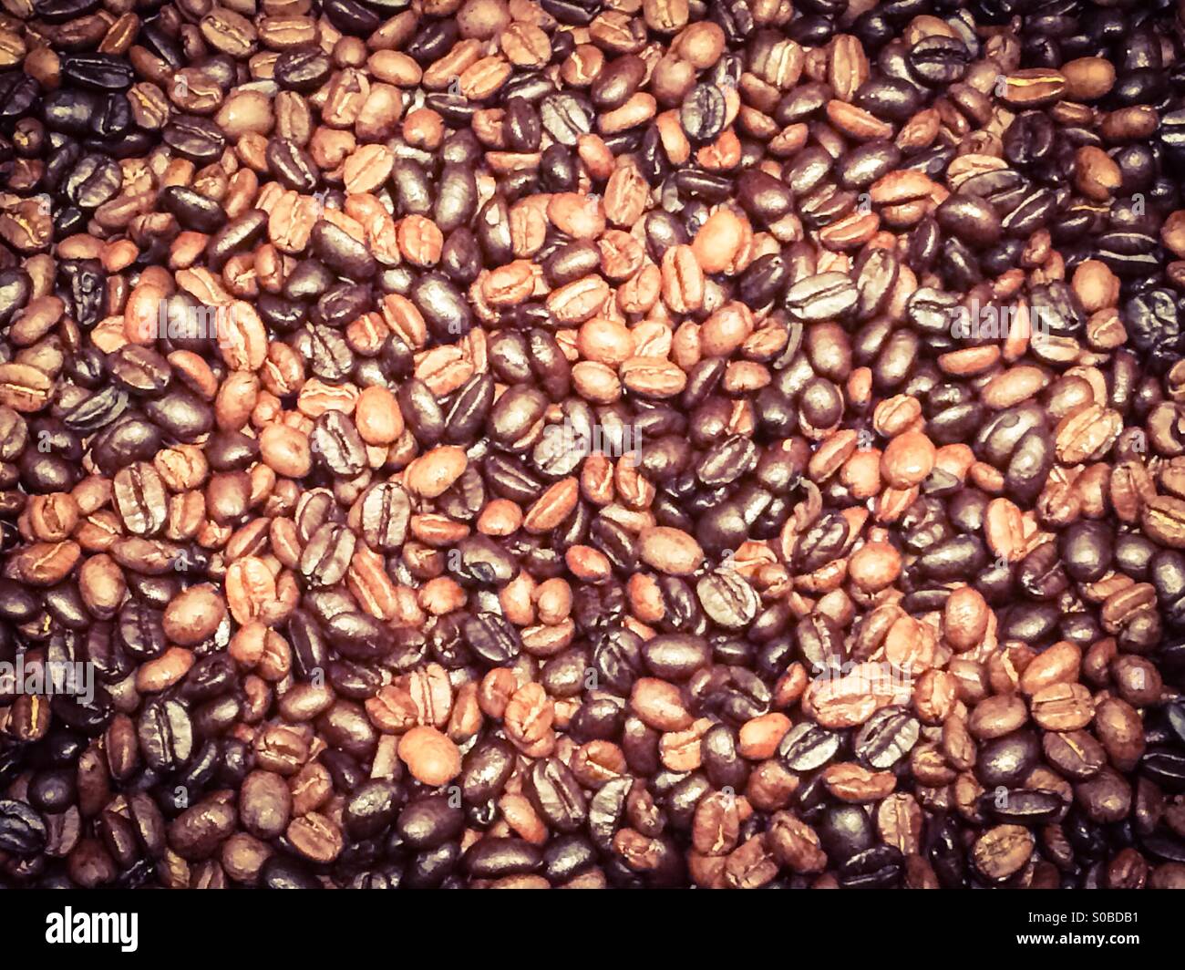 Whole coffee beans Stock Photo Alamy