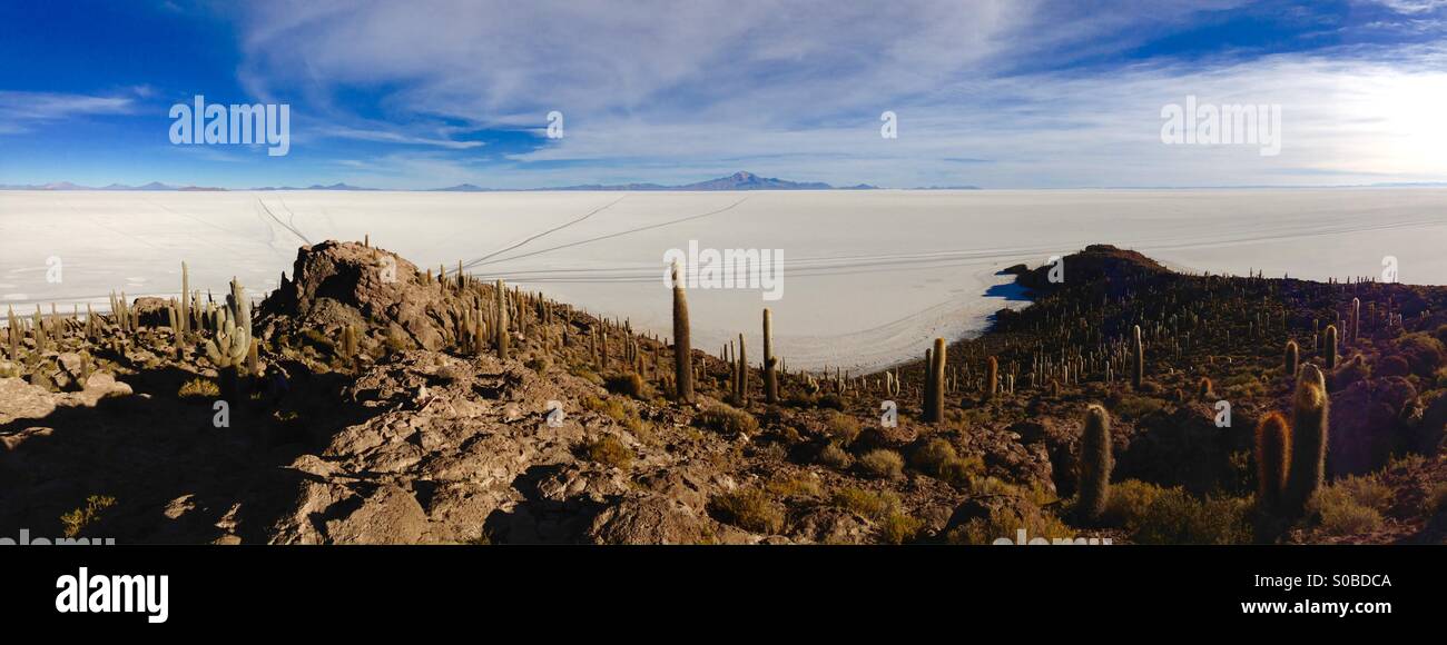 The Bolivian salt flats and Cactus island. Stock Photo
