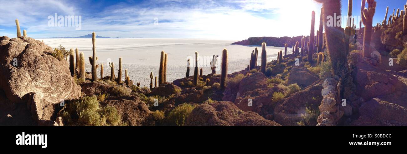 The Bolivian Salt flats and Cactus island 2. Stock Photo