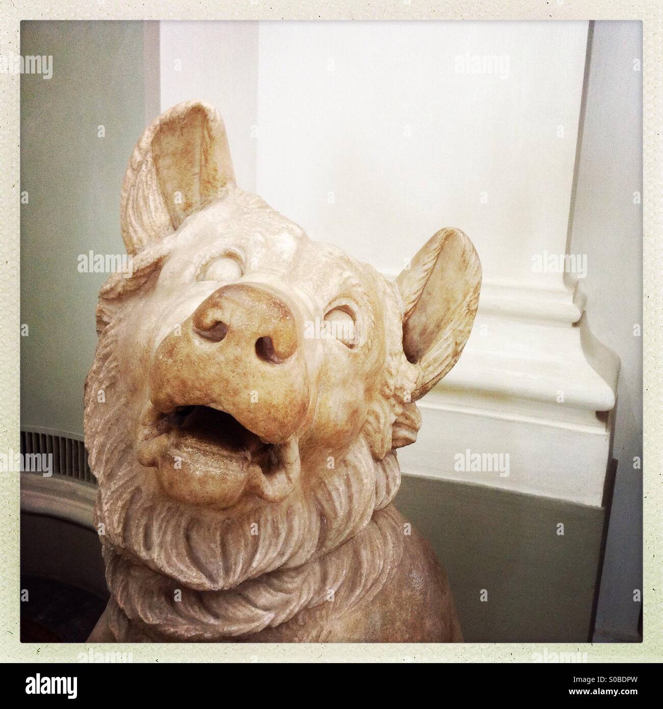 Roman dog statue at the Uffizi gallery in Florence - Smartphone Captured Stock Image