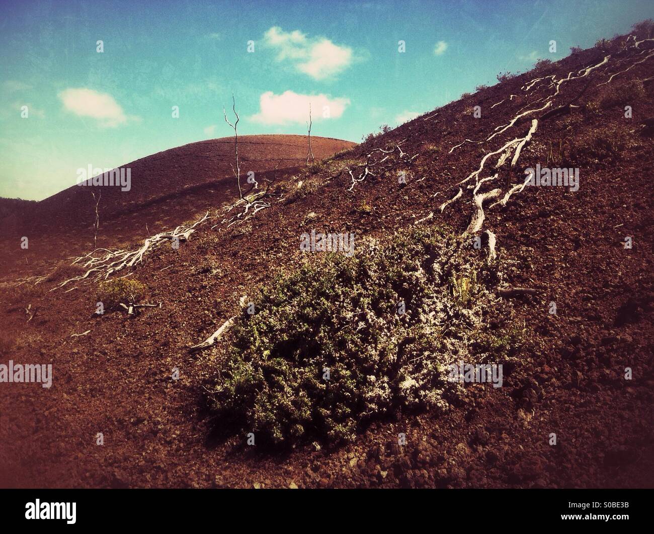 Devastation trail in volcanoes national park in Hawaii - Smartphone Captured Stock Image