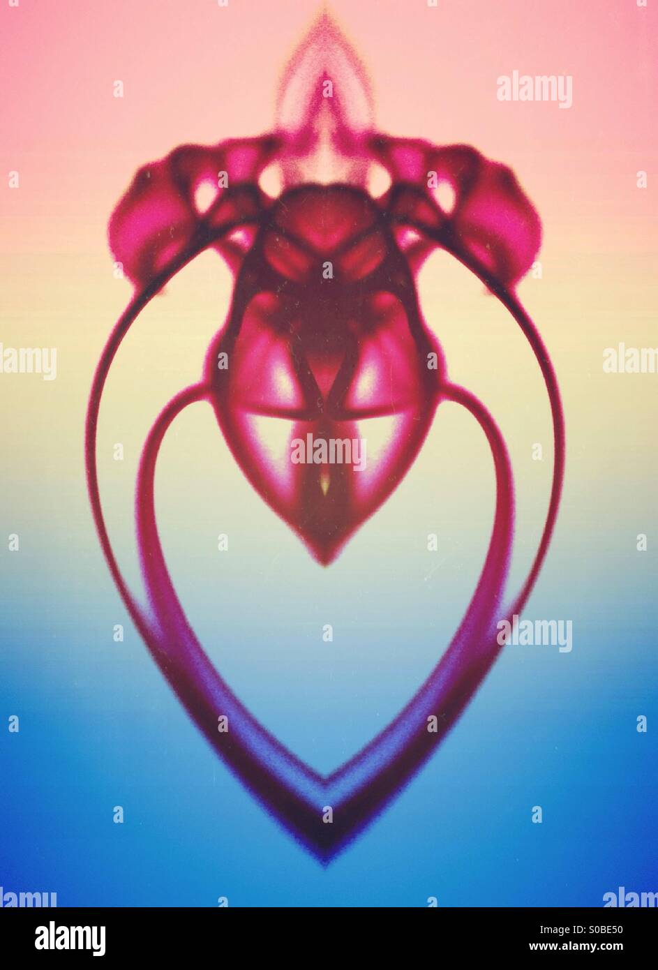 Symmetrical image of Movement of dye in water - Smartphone Captured Stock Image