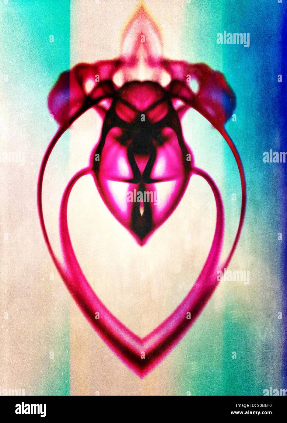 Symmetrical image of Movement of dye in water - Smartphone Captured Stock Image