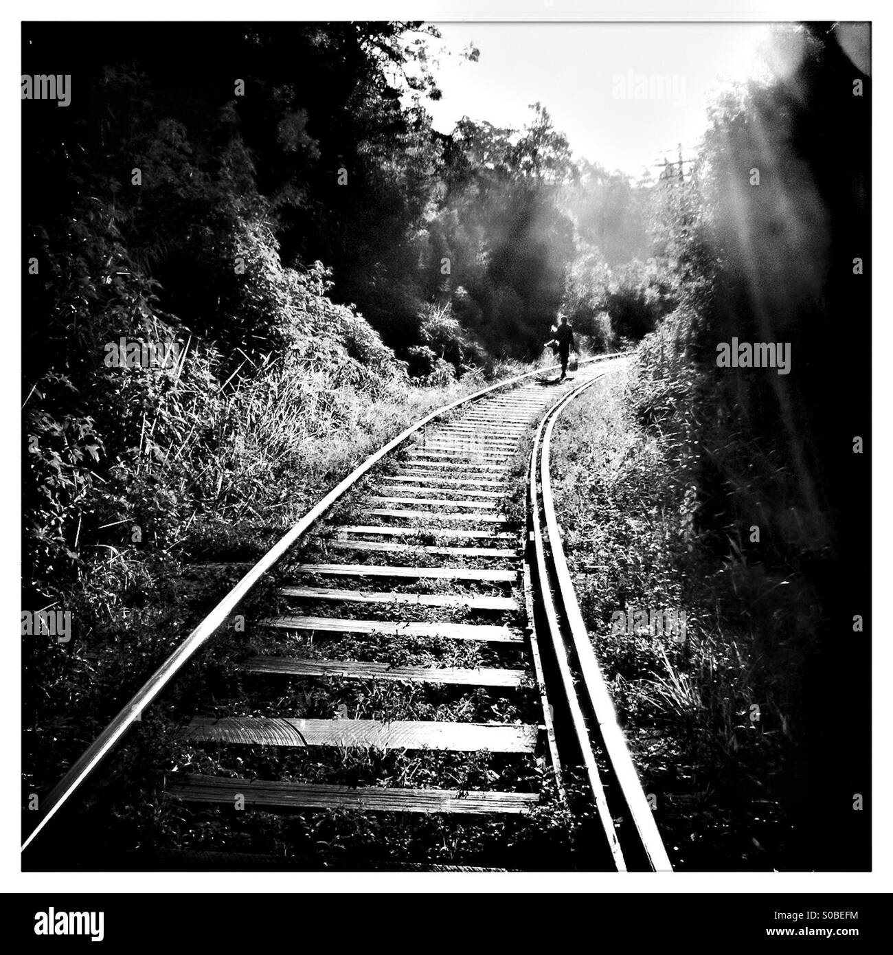 Person walking along a railway line with the sun behind them near Ella in Sri Lanka. - Smartphone Captured Stock Image