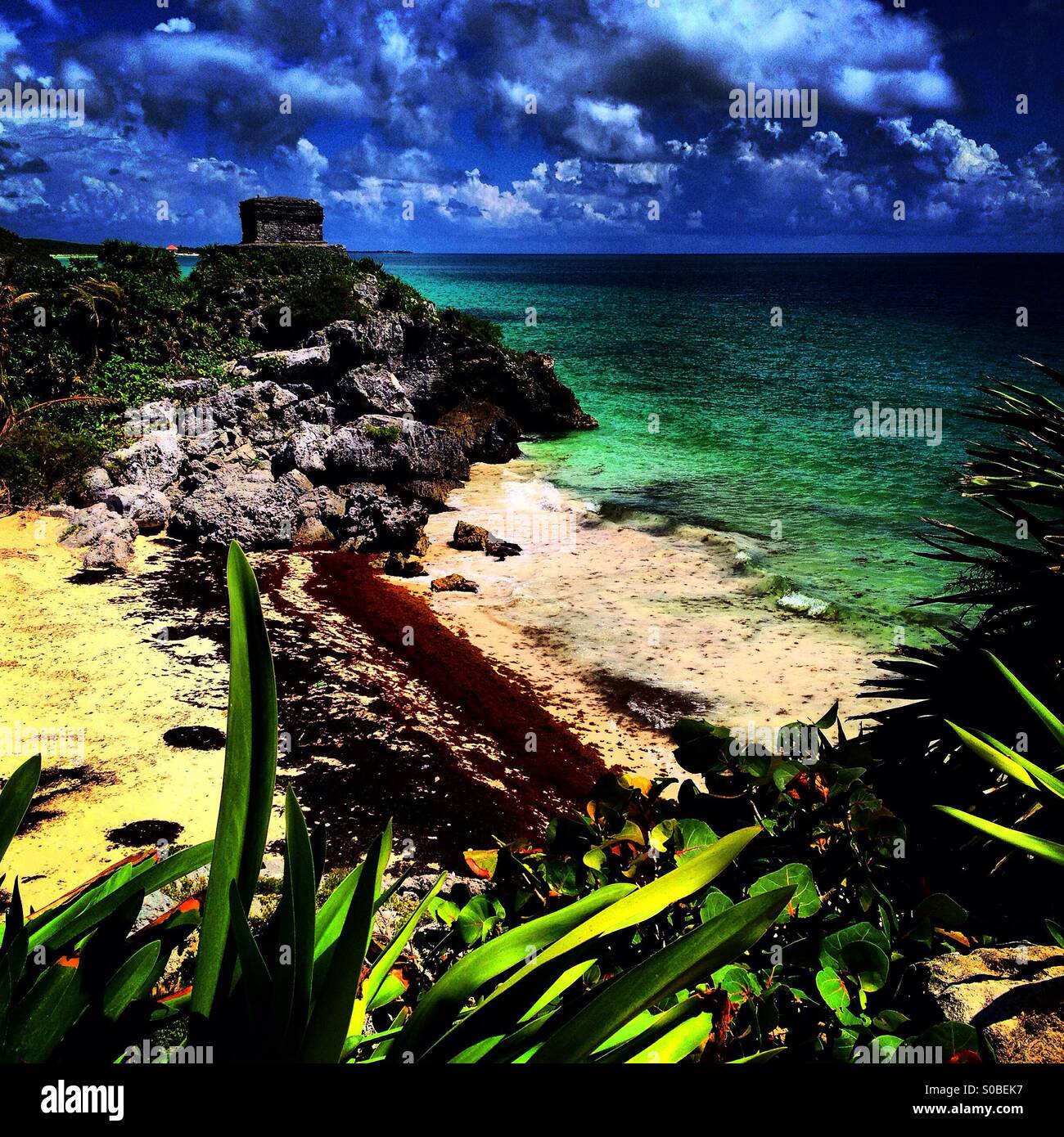 My Image 75