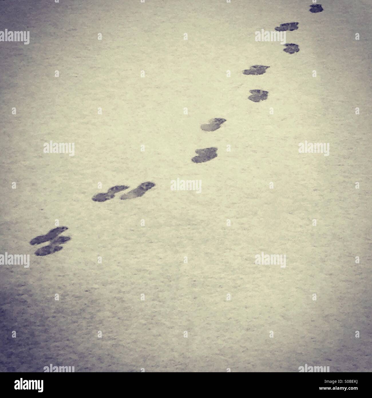 Traces - Smartphone Captured Stock Image