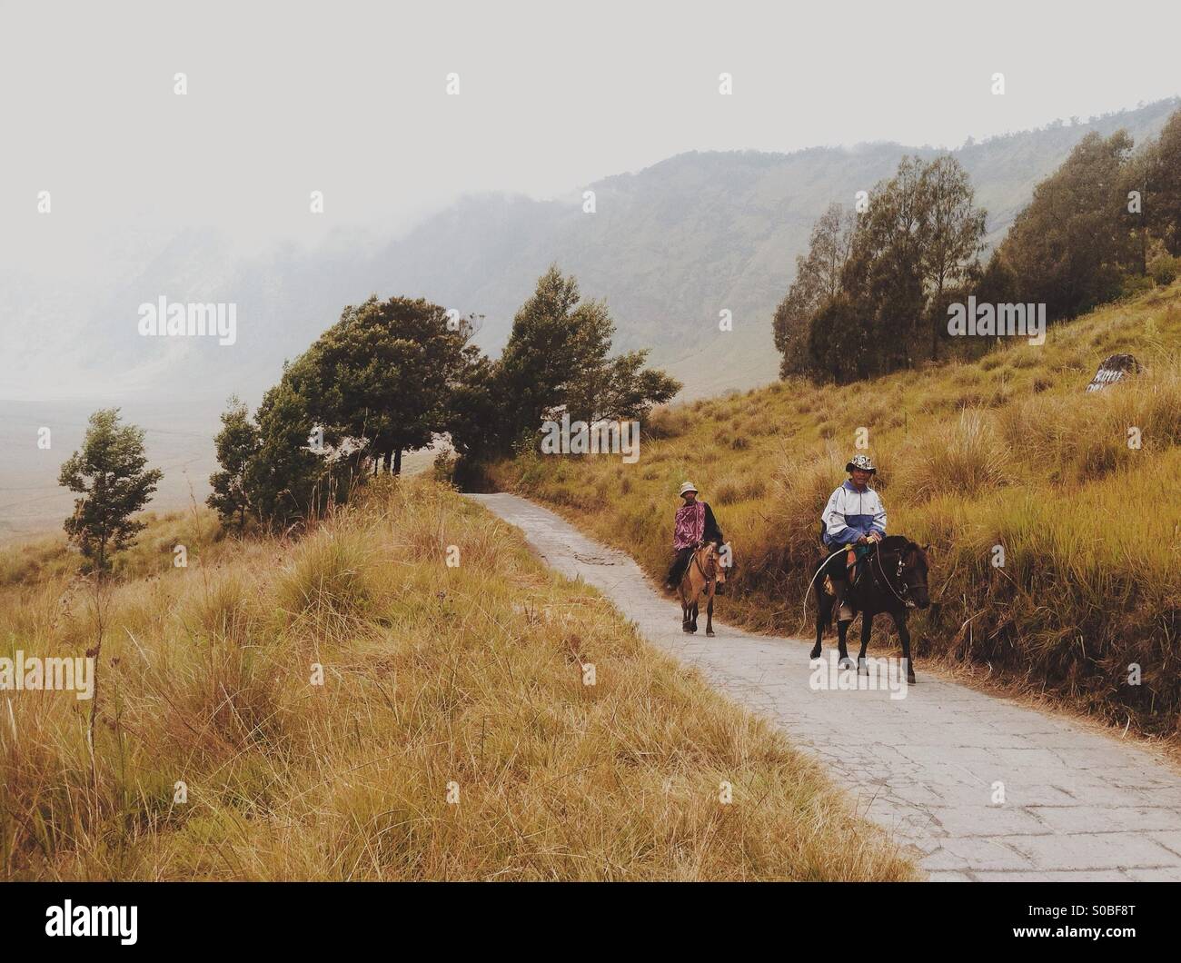 Ride through the beautiful "padang savana Stock Photo - Alamy