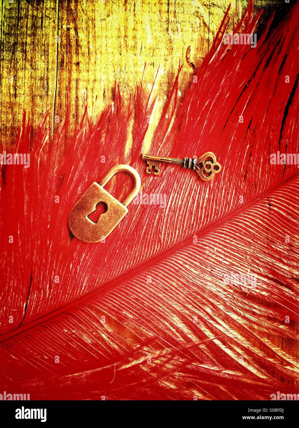 Lock and key over a red feather - Smartphone Captured Stock Image