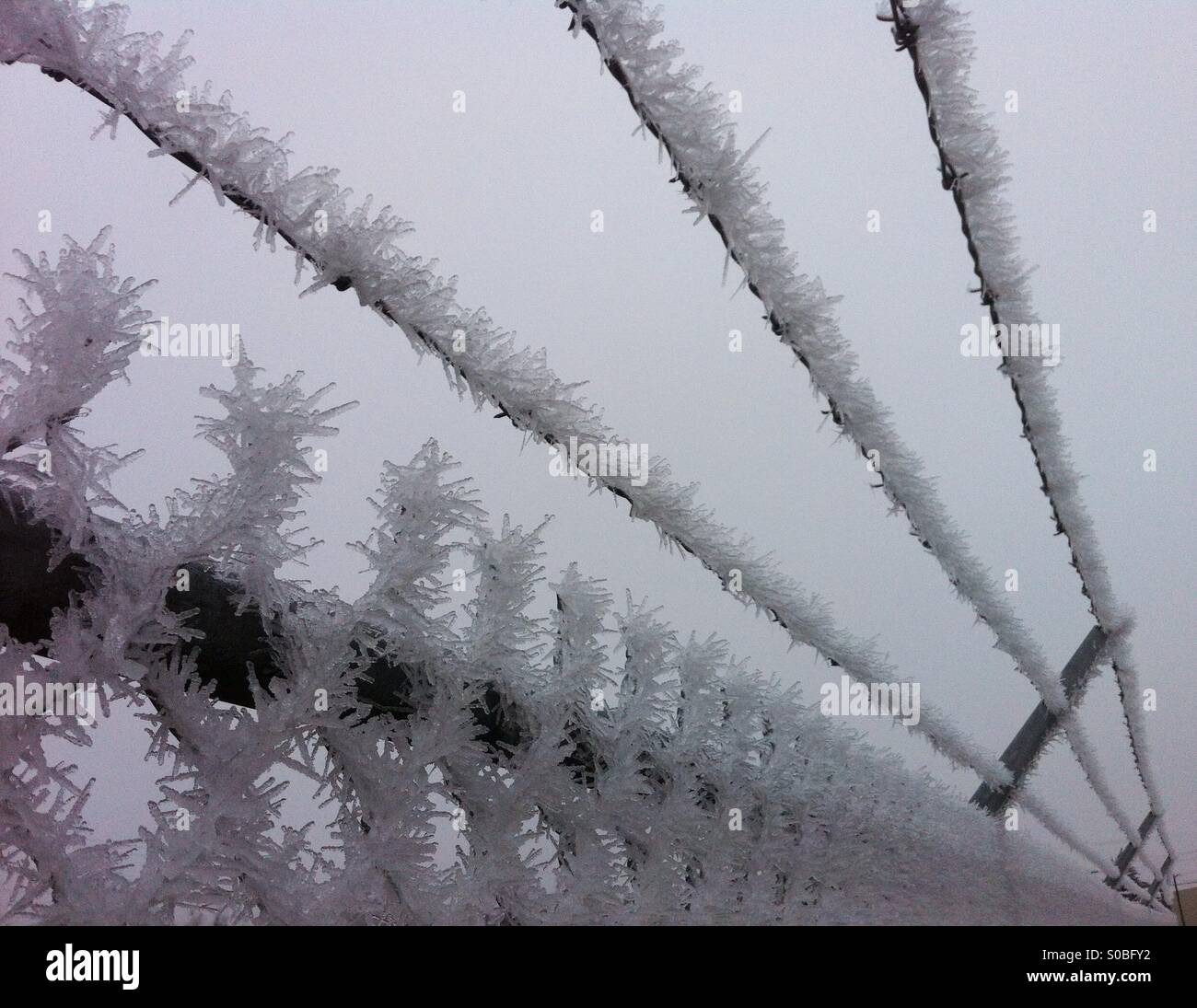 Frozen fence and barbwire after an ice storm. Stock Photo