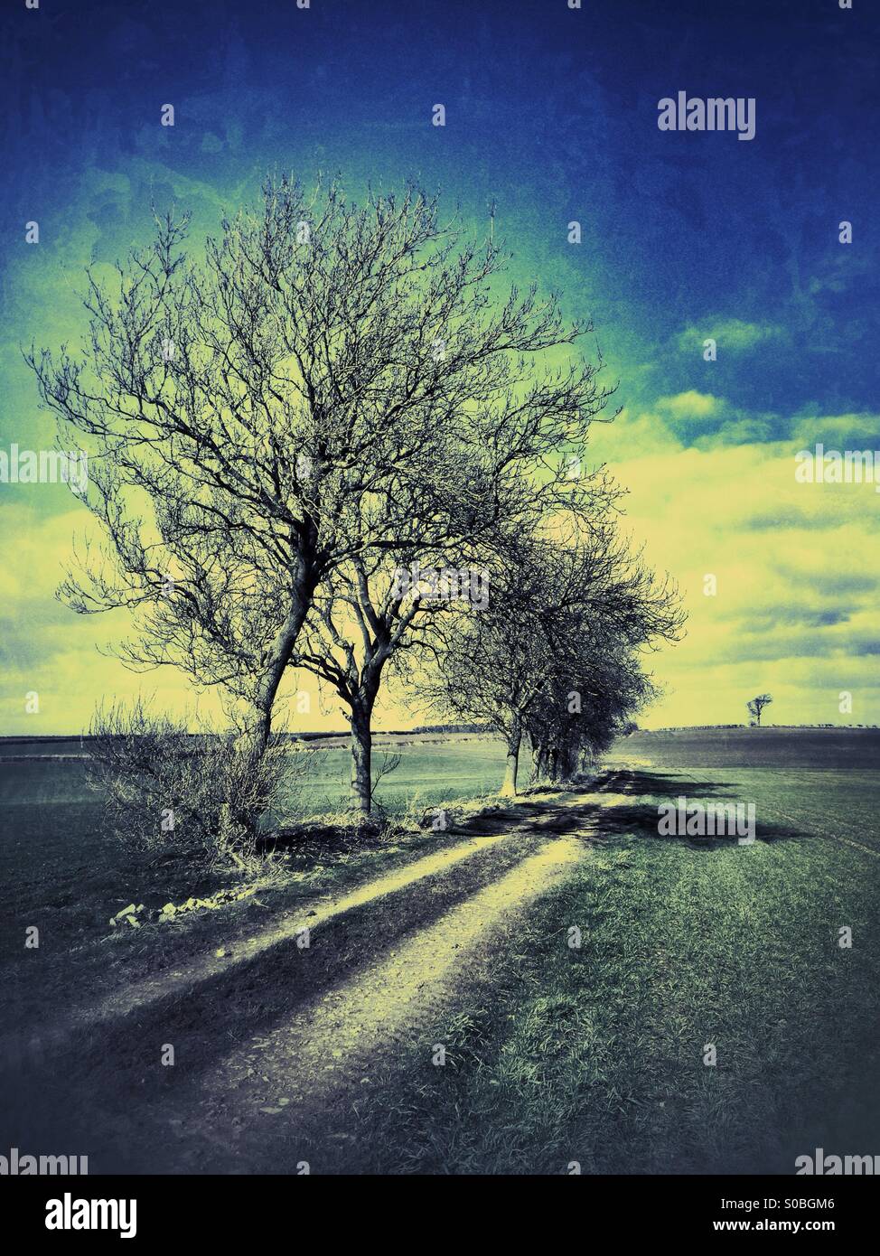 Restricted Byway, Sudbrook, Lincolnshire, England. - Smartphone Captured Stock Image