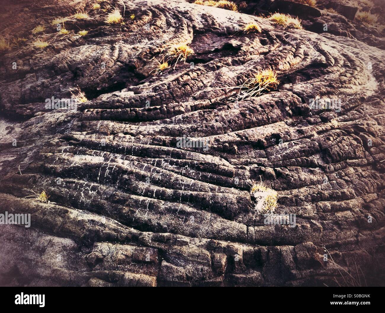 pahoehoe lava texture in Hawaii Stock Photo