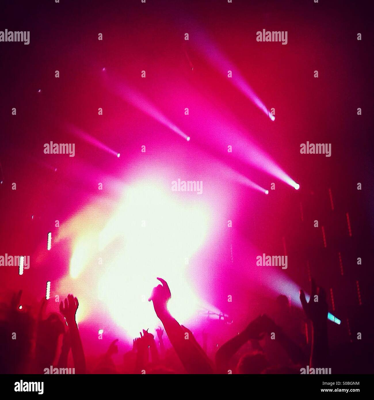 Shot from the crowd at a gig, with hands in the air against pink lights - Smartphone Captured Stock Image