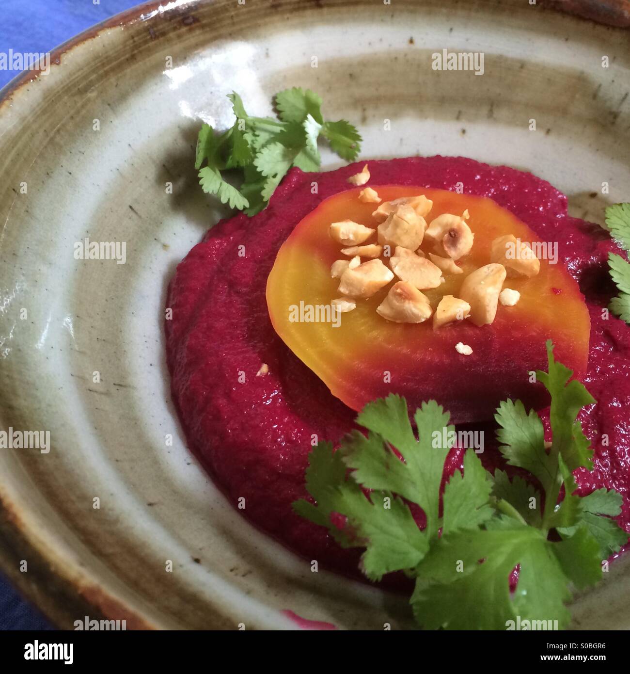 Beet meze spread with hazelnuts and cilantro, Israeli cuisine Stock Photo