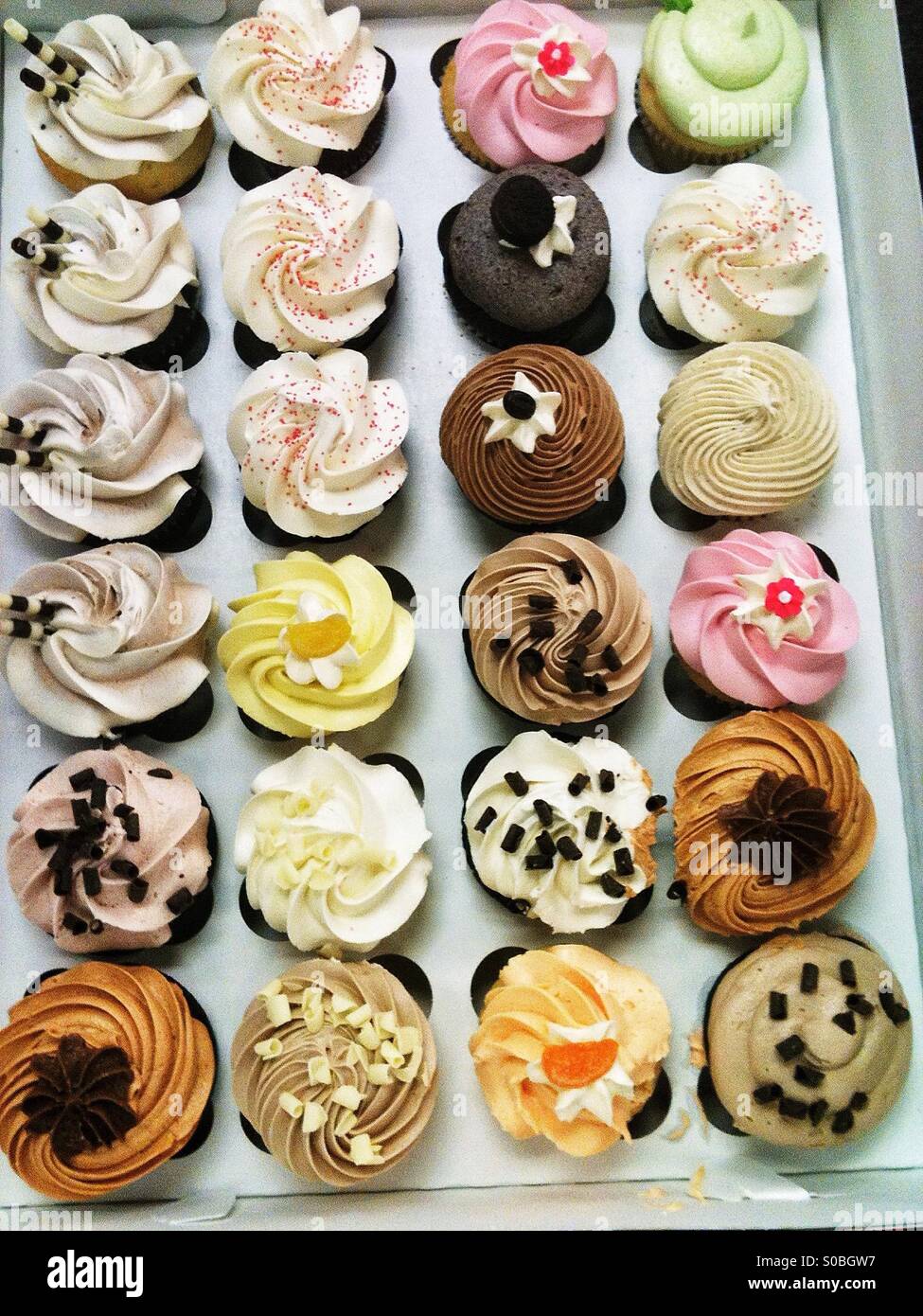 Two dozens decorated cupcakes in a box - Smartphone Captured Stock Image