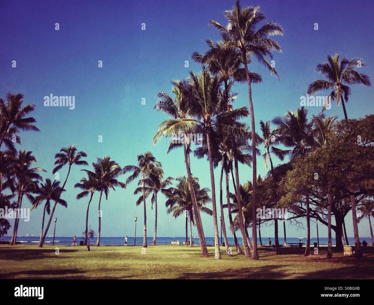Just another hawaiian landscape - Smartphone Captured Stock Image