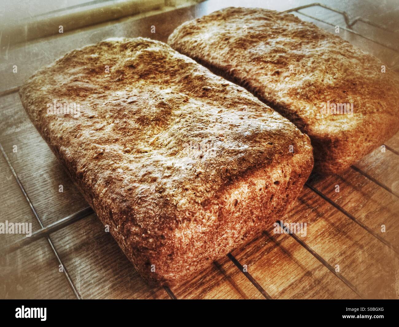 Two loaves of homemade bread cooling off - Smartphone Captured Stock Image