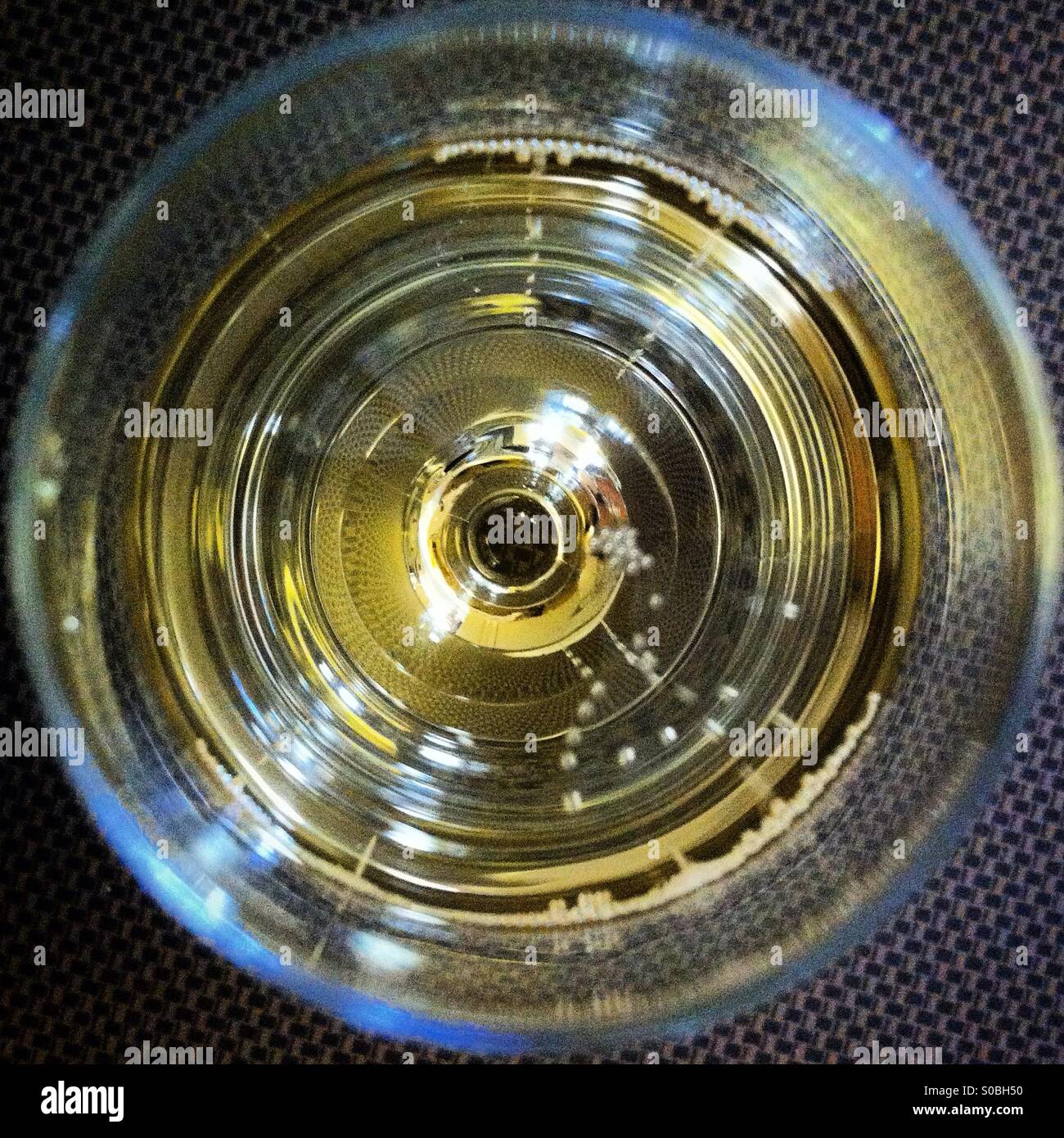 Top view of Champagne in a glass - Smartphone Captured Stock Image