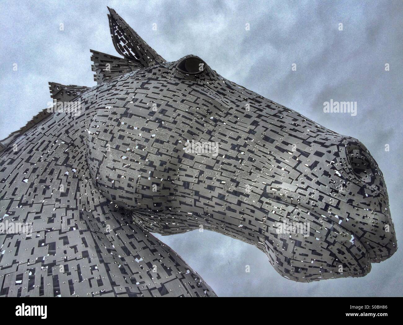 Mythical Horse High Resolution Stock Photography and Images - Alamy