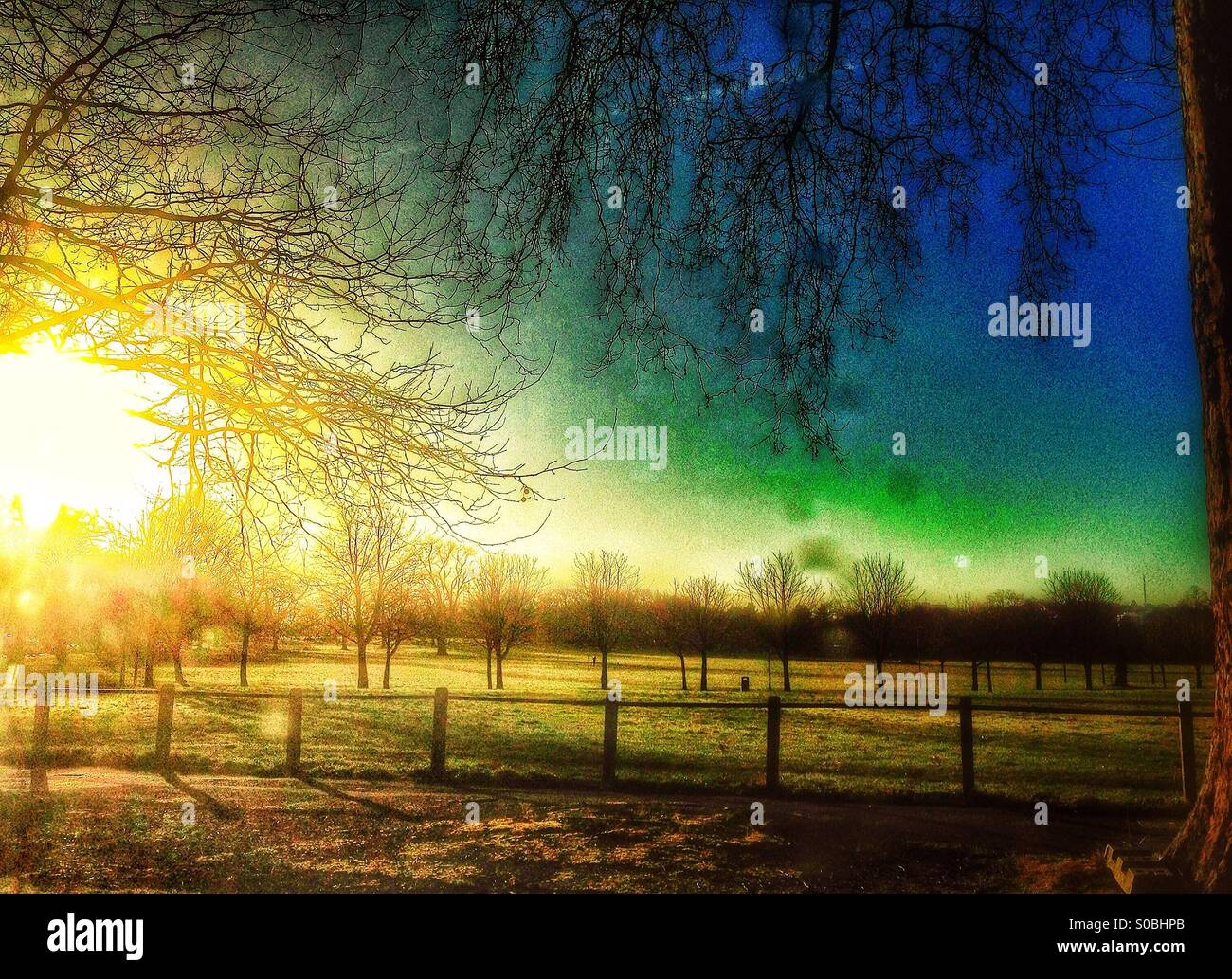 Sunrise over Peckham Rye Park - Smartphone Captured Stock Image